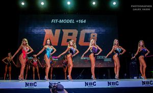 FIT-MODEL +164 (1 раунд)